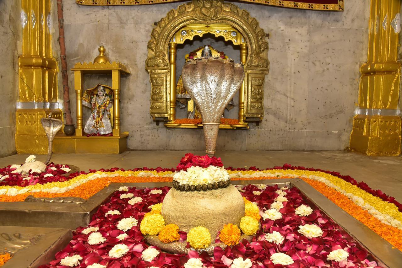 ભક્તો સાથે મહાશિવરાત્રિ મેળાની ઉજવણી