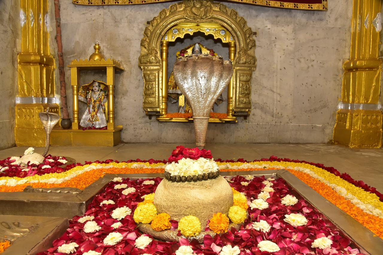 ભક્તો સાથે મહાશિવરાત્રિ મેળાની ઉજવણી